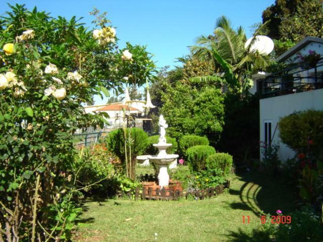 Apartamentos Jardim Funchal  Exterior foto